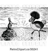 Vector Clip Art of Retro Odd Birds at Sunset by Prawny Vintage