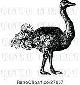 Vector Clip Art of Retro Ostrich by Prawny Vintage