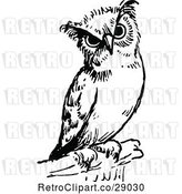 Vector Clip Art of Retro Owl by Prawny Vintage
