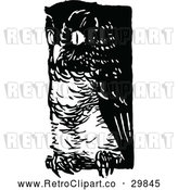 Vector Clip Art of Retro Owl by Prawny Vintage