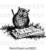 Vector Clip Art of Retro Owl Drawing by Prawny Vintage