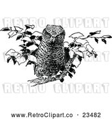 Vector Clip Art of Retro Perched Owl 1 by Prawny Vintage
