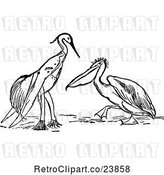 Vector Clip Art of Retro Perched Stork Dressed in Clothes and Pelican by Prawny Vintage