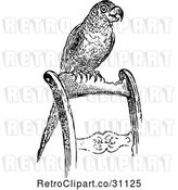 Vector Clip Art of Retro Pet Parrot on a Chair by Prawny Vintage