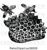 Vector Clip Art of Retro Piece of Honeycomb and Bees by Prawny Vintage