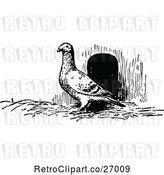 Vector Clip Art of Retro Pigeon by Prawny Vintage