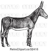 Vector Clip Art of Retro Poitou Donkey Ass in by Picsburg