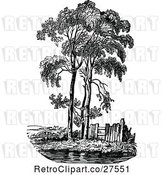 Vector Clip Art of Retro Poplar Tree by Prawny Vintage