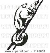Vector Clip Art of Retro Possum on a Branch by Patrimonio