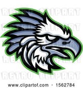 Vector Clip Art of Retro Profiled American Harpy Eagle Mascot Head by Patrimonio