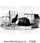 Vector Clip Art of Retro Rabbit Eating Lettuce by Prawny Vintage
