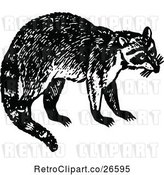 Vector Clip Art of Retro Raccoon by Prawny Vintage