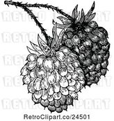 Vector Clip Art of Retro Raspberries by Prawny Vintage