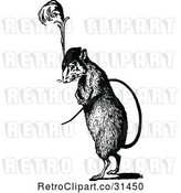Vector Clip Art of Retro Rat Wearing a Plumed Hat by Prawny Vintage