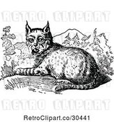 Vector Clip Art of Retro Resting Bobcat by Prawny Vintage