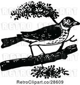 Vector Clip Art of Retro Robin by Prawny Vintage
