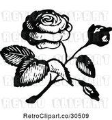 Vector Clip Art of Retro Rose 2 by Prawny Vintage