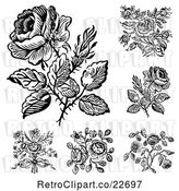 Vector Clip Art of Retro Rose Designs by BestVector