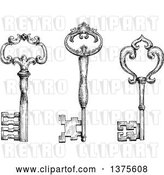 Vector Clip Art of Retro Sketched Skeleton Keys by Vector Tradition SM