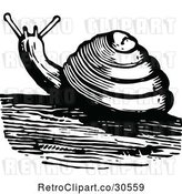 Vector Clip Art of Retro Snail by Prawny Vintage