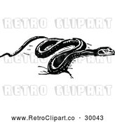Vector Clip Art of Retro Snake by Prawny Vintage