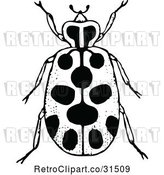 Vector Clip Art of Retro Spotted Beetle by Prawny Vintage