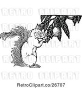 Vector Clip Art of Retro Squirrel Gathering Food by Prawny Vintage