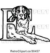 Vector Clip Art of Retro St Bernard Dog and Letter E by Prawny Vintage