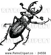 Vector Clip Art of Retro Stag Beetle by Prawny Vintage