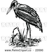 Vector Clip Art of Retro Stork by Prawny Vintage