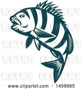 Vector Clip Art of Retro Teal and White Jumping Sheepshead Fish by Patrimonio