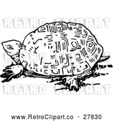 Vector Clip Art of Retro Tortoise by Prawny Vintage