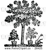 Vector Clip Art of Retro Tree and Potted Plants by Prawny Vintage