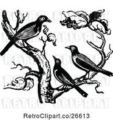 Vector Clip Art of Retro Trio of Birds in a Tree by Prawny Vintage