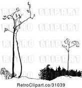 Vector Clip Art of Retro Twiglet Trees and Roof Tops by Prawny Vintage