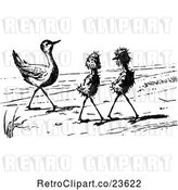 Vector Clip Art of Retro Ugly Birds on a Beach 1 by Prawny Vintage