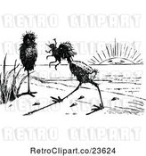 Vector Clip Art of Retro Ugly Birds on a Beach 2 by Prawny Vintage