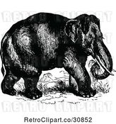 Vector Clip Art of Retro Wild Elephant by Prawny Vintage
