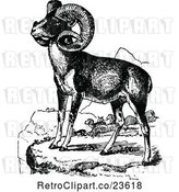 Vector Clip Art of Retro Wild Goats by Prawny Vintage