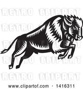 Vector Clip Art of Retro Woodcut Leaping and Running Buffalo by Patrimonio
