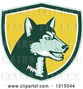 Vector Clip Art of Retro Woodcut Siberian Husky Dog in a Green, White and Yellow Shield by Patrimonio