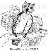 Vector Clip Art of Sketched Perched Owl by Prawny Vintage