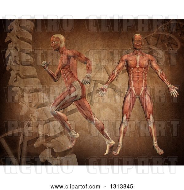 Clip Art of Retro 3d Medical Anatomical Men with Visible Muscles, Standing and Running over a DNA Background