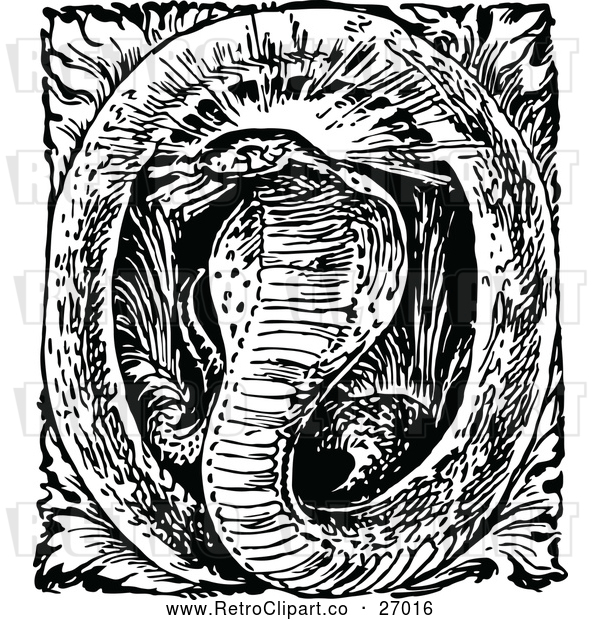 Vector Clip Art of a Retro Alphabet Letter 'O' and Cobra