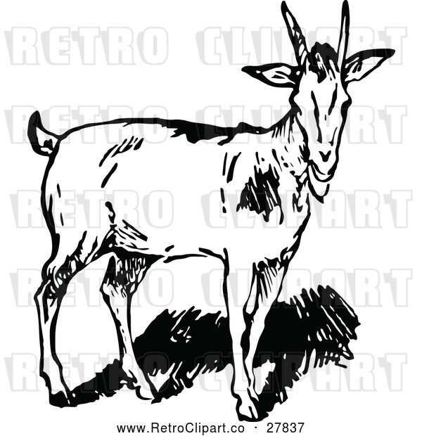 Vector Clip Art of a Retro Goat with Small Horns