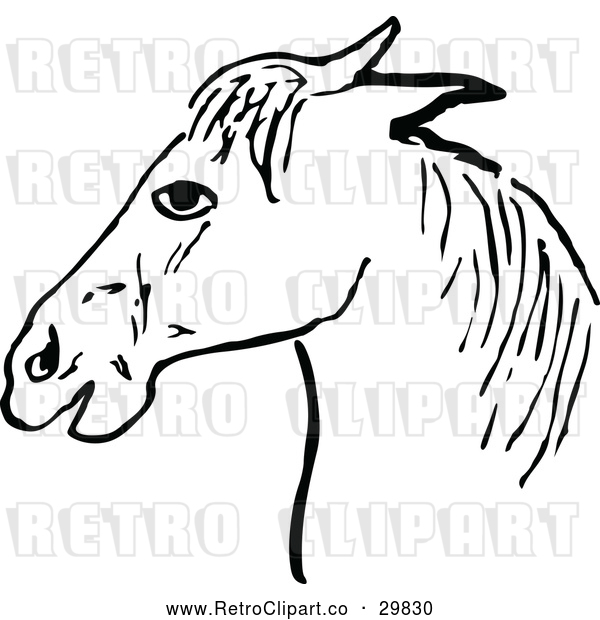 Vector Clip Art of a Retro Horse Head Profile
