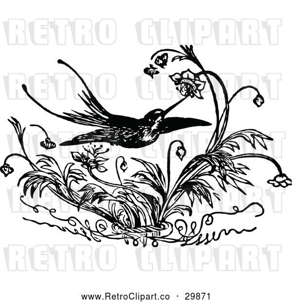 Vector Clip Art of a Retro Hummingbird Feeding on Flowers