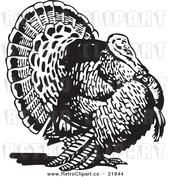 Vector Clip Art of a Retro Thanksgiving Turkey
