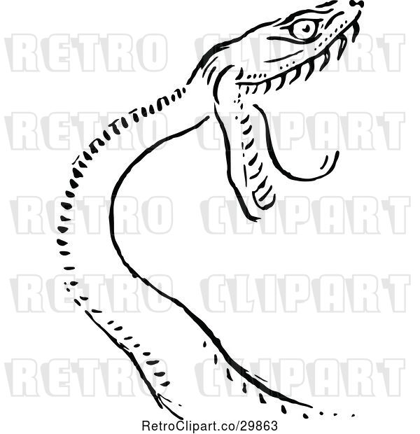 Vector Clip Art of Attacking Snake