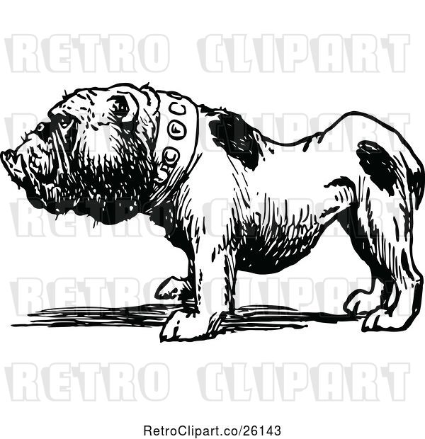Vector Clip Art of Bulldog